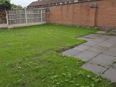 Picture 14